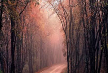 吉祥棋牌靠谱吗？